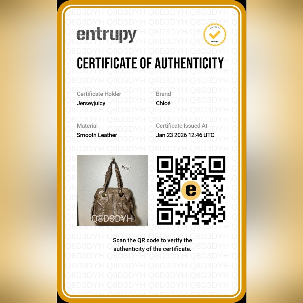 Chloe Heloise Large Lambskin Leather with Entrupy COA - Picture 16 of 16